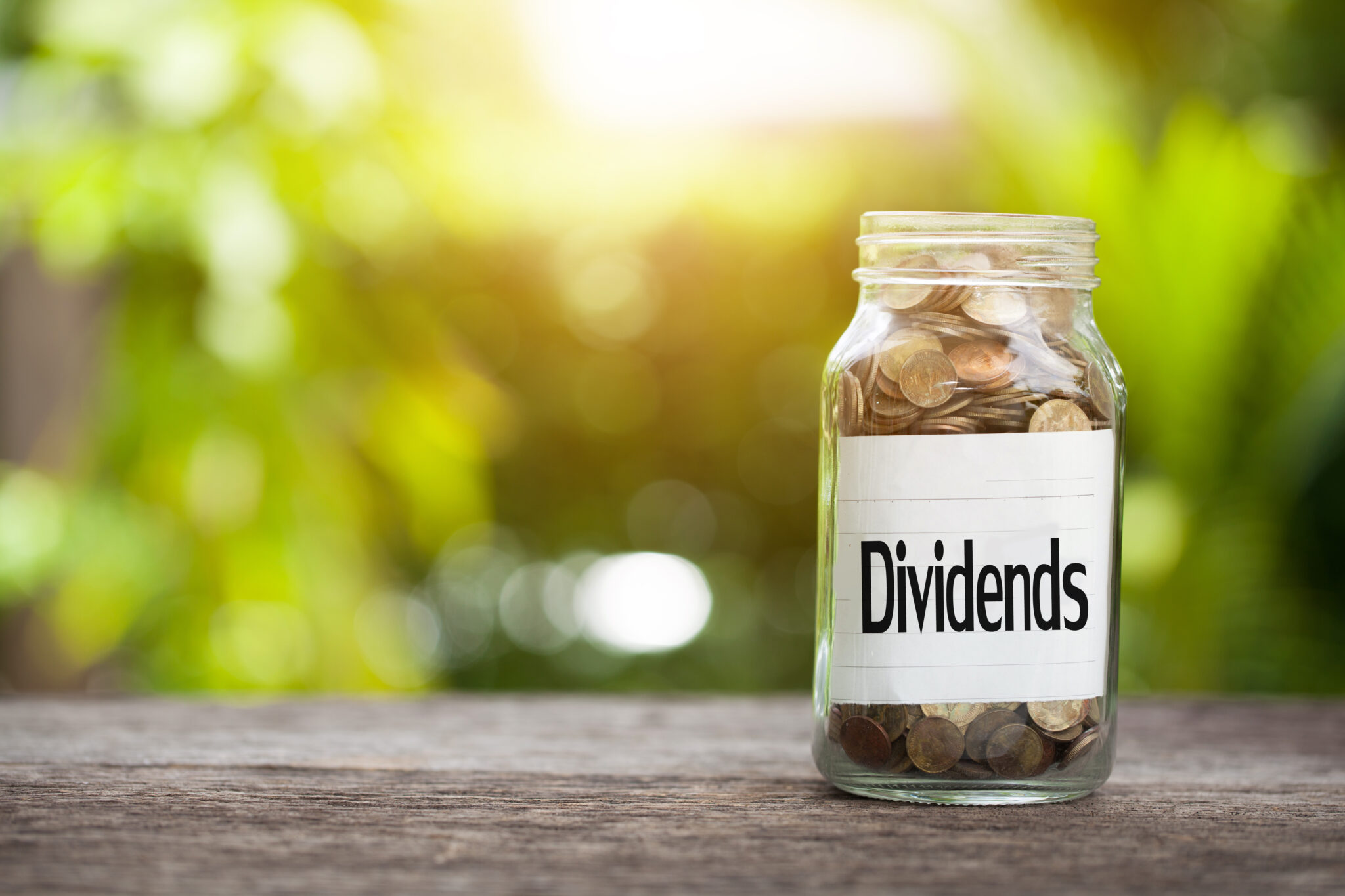 Why Dividends