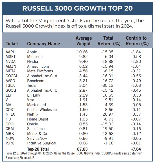 Russell 3000 Growth Top 20